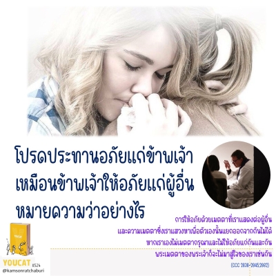 Youcat 524 