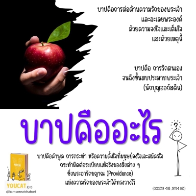 Youcat 315 บาปคืออะไร ?